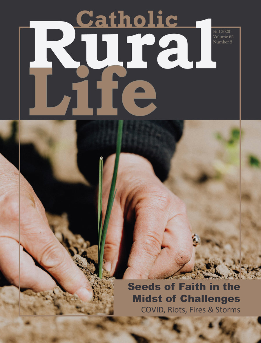 Seeds of Faith in the Midst of Challenges: COVID, Riots, Fires & Storms (Fall 2020) - Digital Only